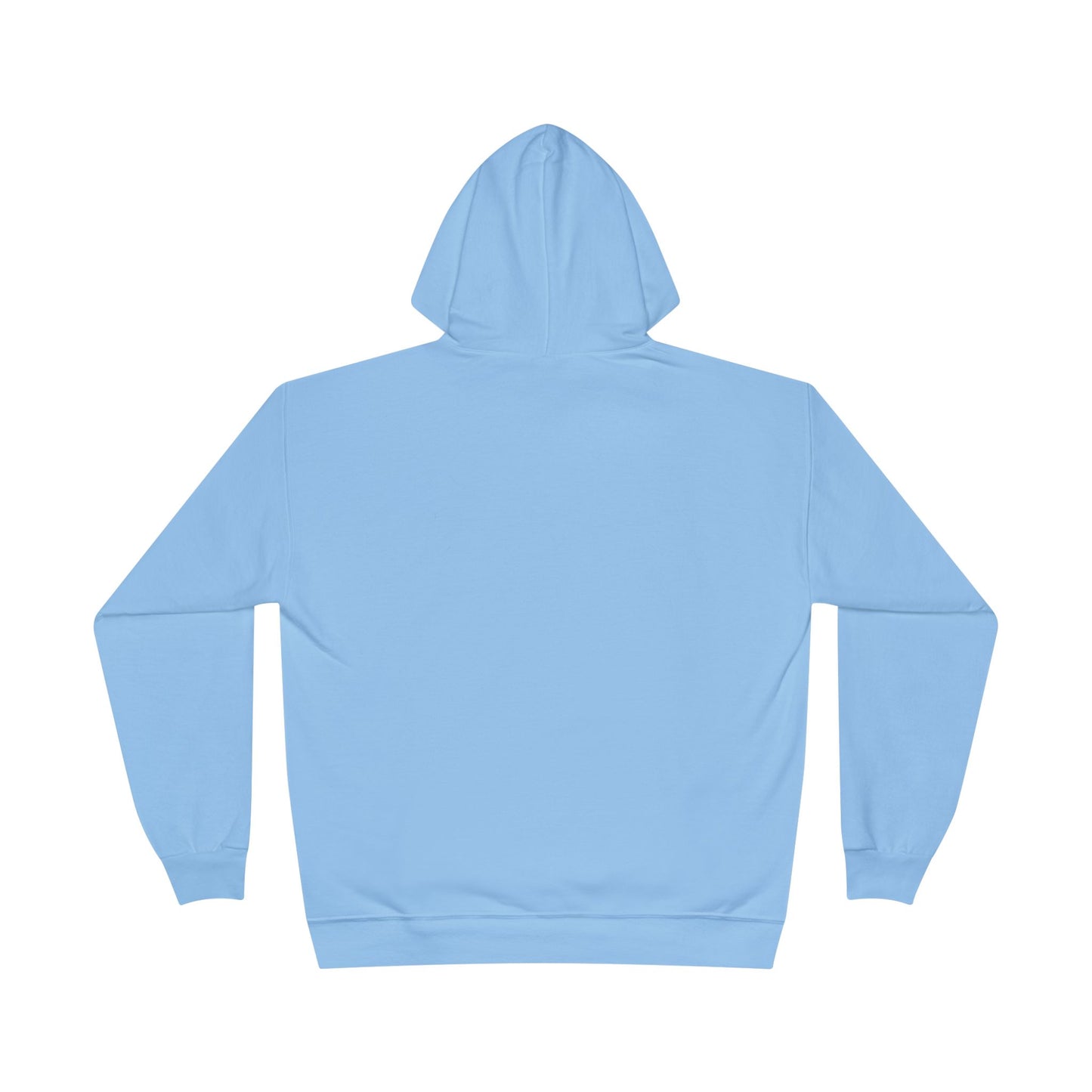 Goooose Chicago 2025 Hoodie