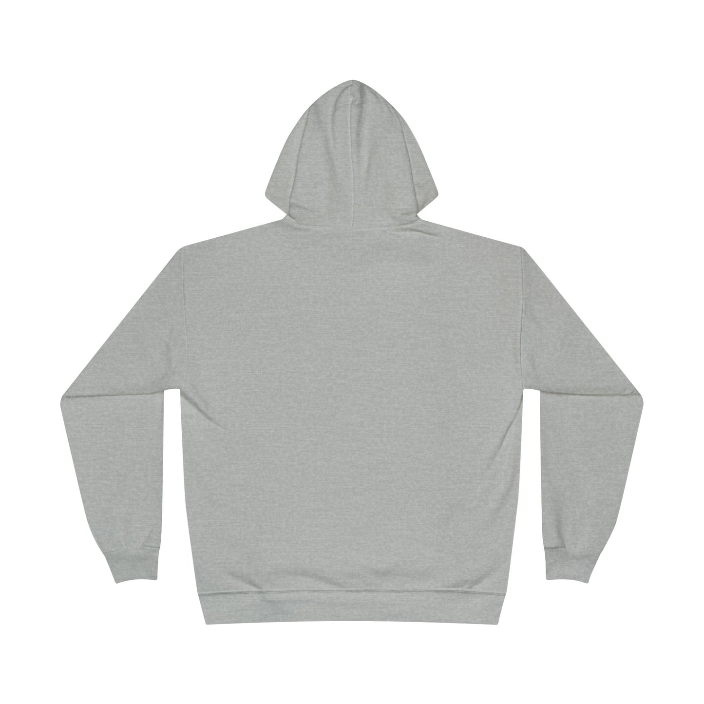 Goooose Chicago 2025 Hoodie