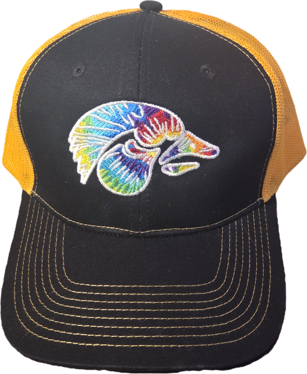 IOWA Hat 2025