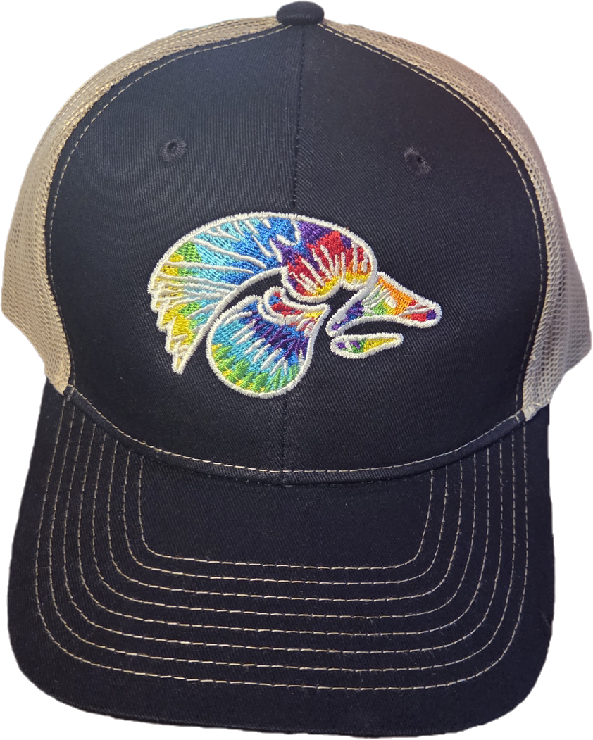 IOWA Hat 2025
